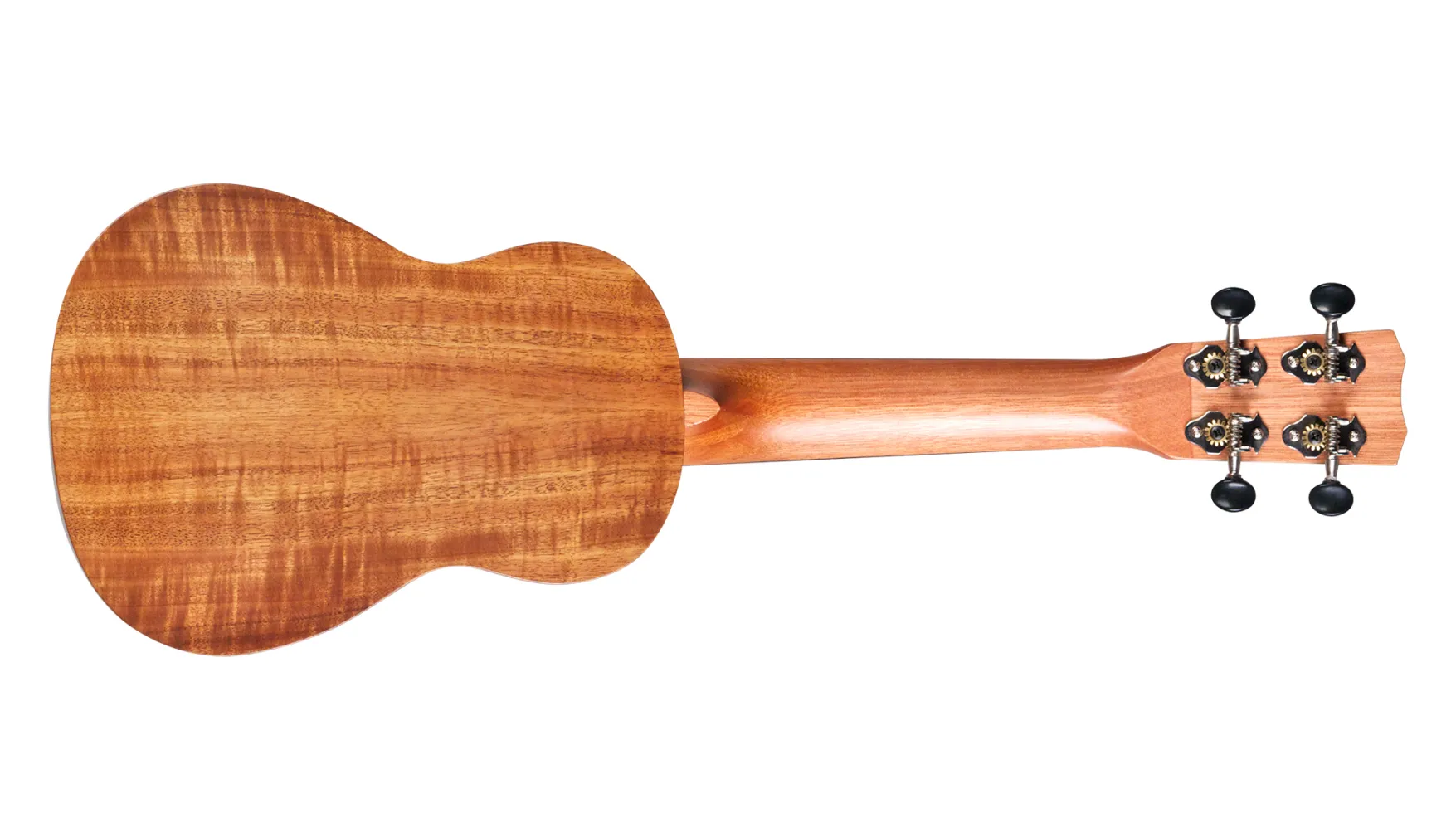 25S Cordoba Guitars 25s-cordoba-guitars